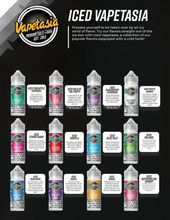 Load image into Gallery viewer, Vapetasia E-Liquid 100ml