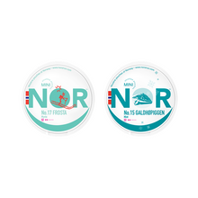 Laden Sie das Bild in den Galerie-Viewer, 8mg NOR Slim Nikotintaschen - 20 diskrete Packungen