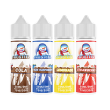 Load image into Gallery viewer, Frosteez Refreshing 50ml Shortfill E-Liquid (0mg) - Cool Fruit Blends