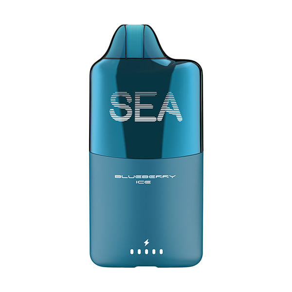 Blueberry Ice - SEA 15K - 15k Vapes